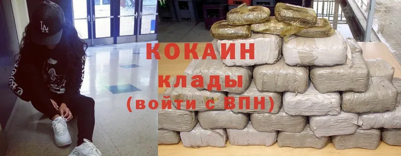 Cocaine FishScale  мега как войти  Лермонтов 