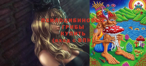 винт Михайловка