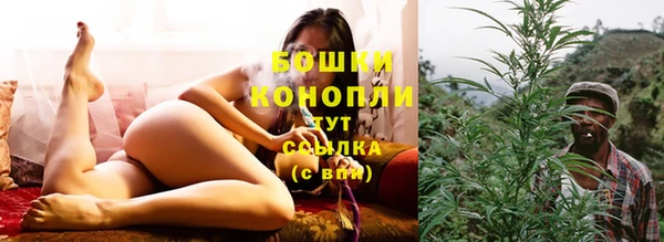 крисы Михайлов